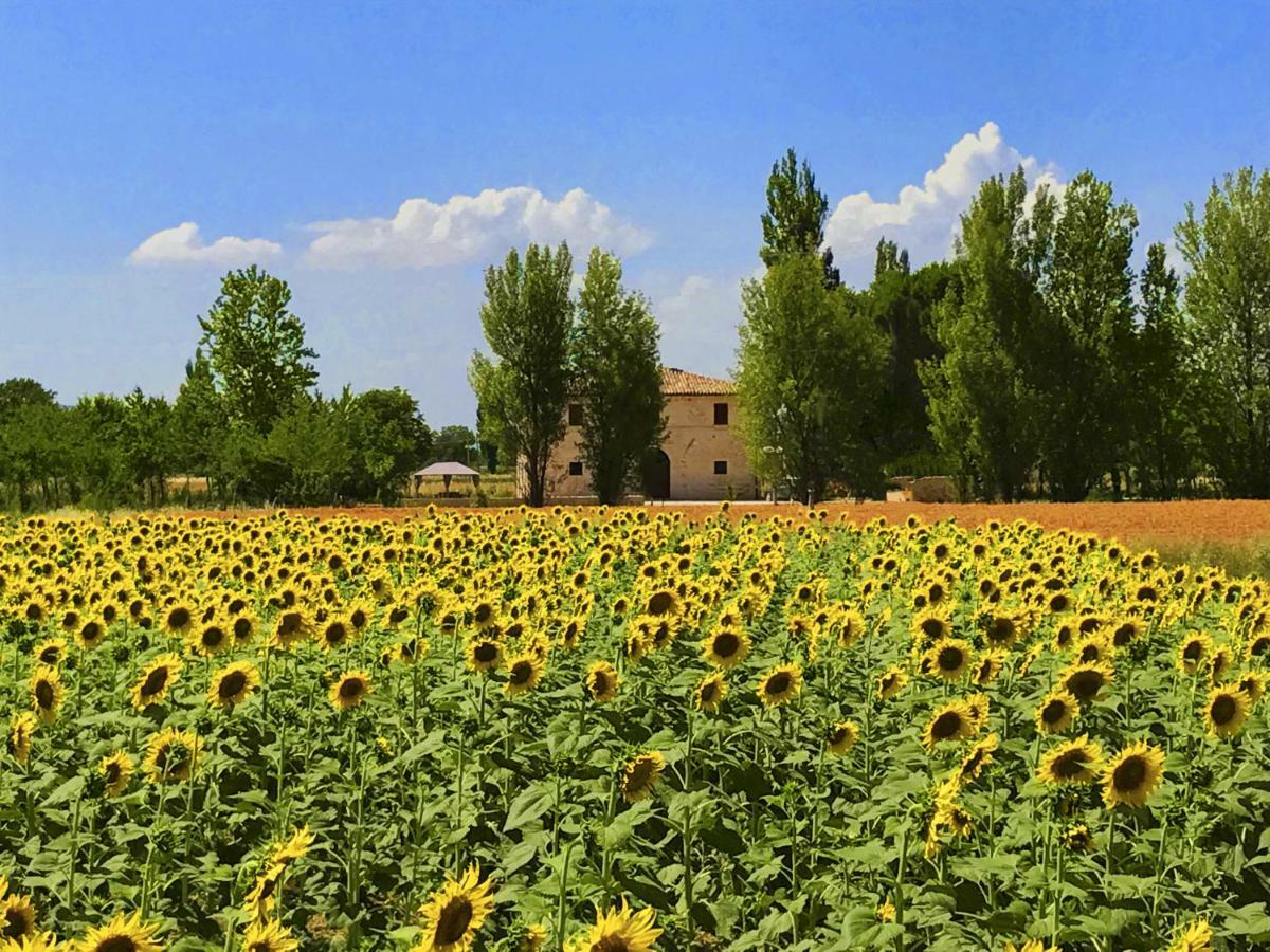 Villa Licinia Foligno Extérieur photo