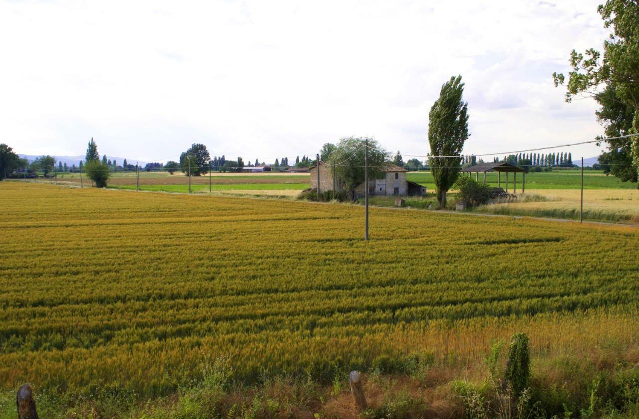 Villa Licinia Foligno Extérieur photo